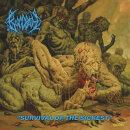 BLOODBATH - Survival Of The Sickest - Vinyl-LP